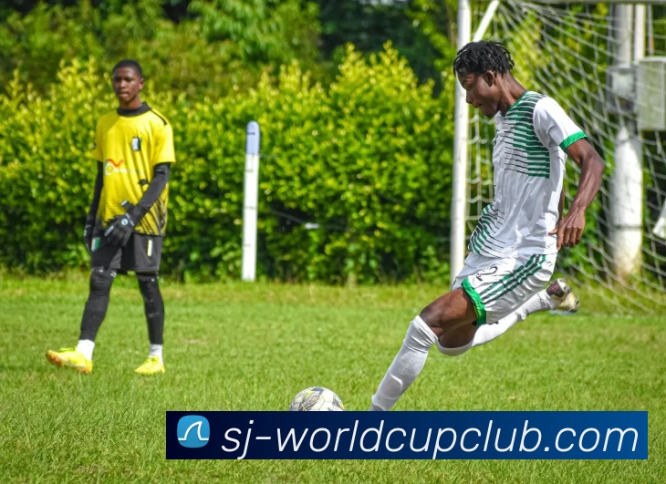 体育赛事信息品牌故事