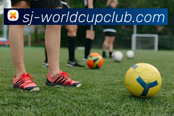 体育赛事信息服务体系